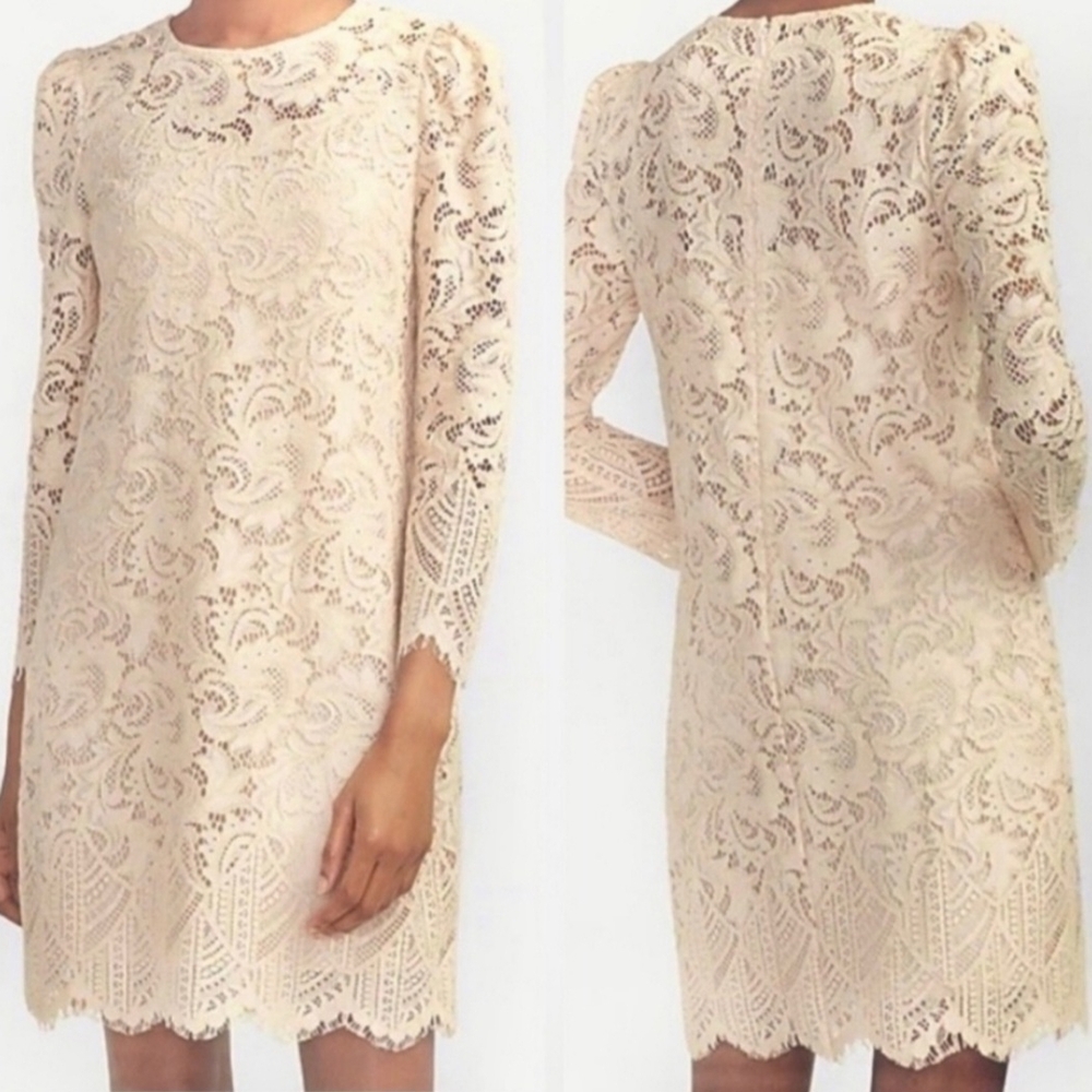 Elegant Cream Lace Dress